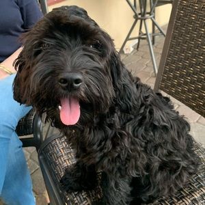 Meet your Posher, Alexis